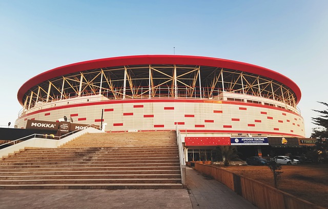 色的战术智 色的战术智