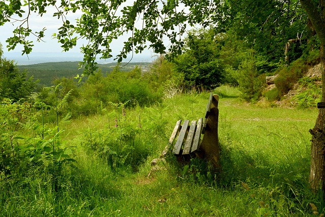 构建一个冠 构建一个冠