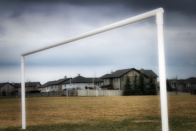 快船队由于 快船队由于