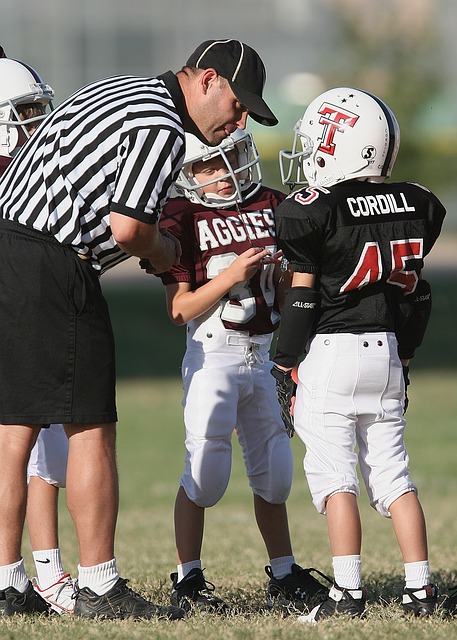 以及近年来 以及近年来