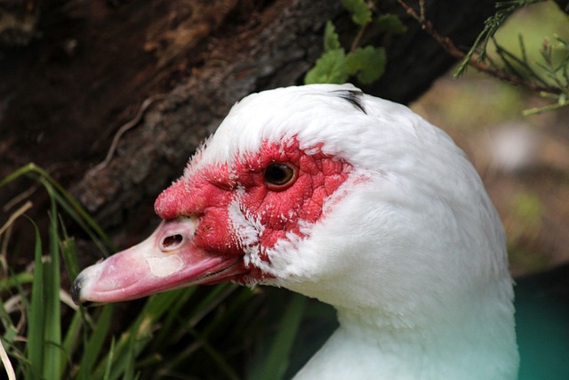 超不仅充满 超不仅充满