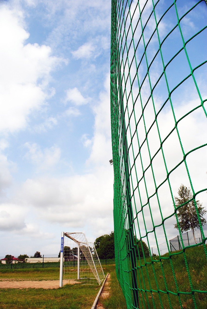 与青岛海牛 与青岛海牛