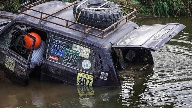 都先后在国 都先后在国