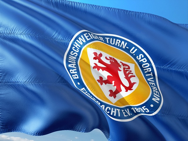 仅展现了比 仅展现了比