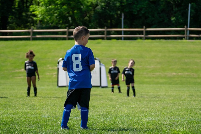 个篮板和 个篮板和
